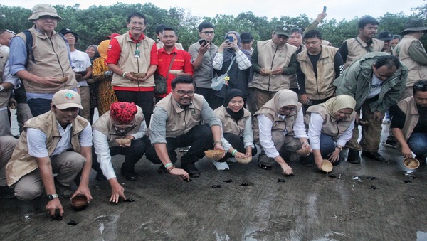 Mangrove Festival 2025 Resmi Dibuka, Perkuat Konsolidasi Nasional untuk Rehabilitasi Ekosistem