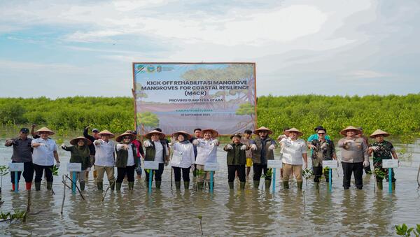 Menhut Targetkan Penanaman Mangrove M4CR 15.387 Hektare di 4 Provinsi Selama 2025