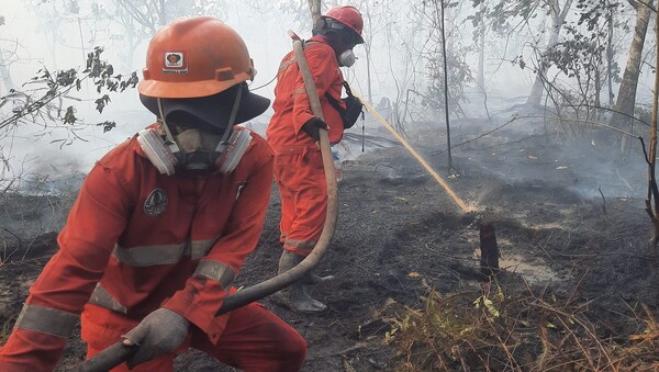 atasi-sumber-air-kering-12-880-personel-dan-sumur-bor-dikerahkan-padamkan-karhutla-kalimantan